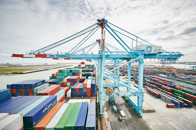 Widok na suwnicę w porcie i kontenery