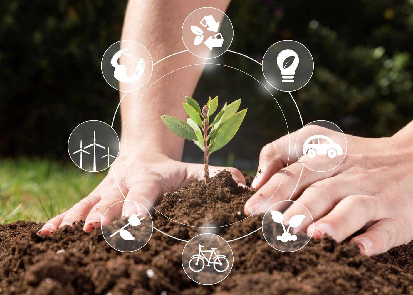 Zdjęcie przedstawia zbliżenie na dłonie mężczyzny, który sadzi roślinkę w ziemi, dodatkowo wokół...