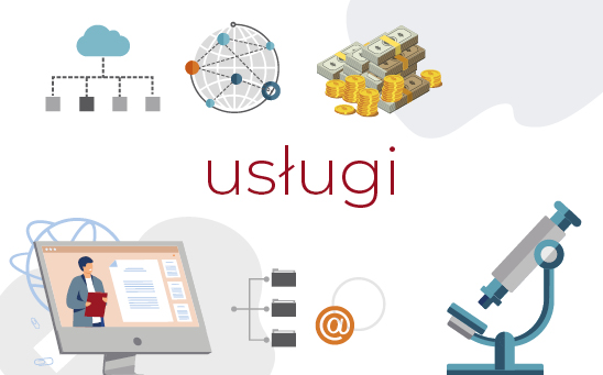 Rozw&oacute;j oferty klastr&oacute;w dla firm