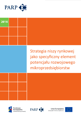Strategia niszy rynkowej - raport z badań