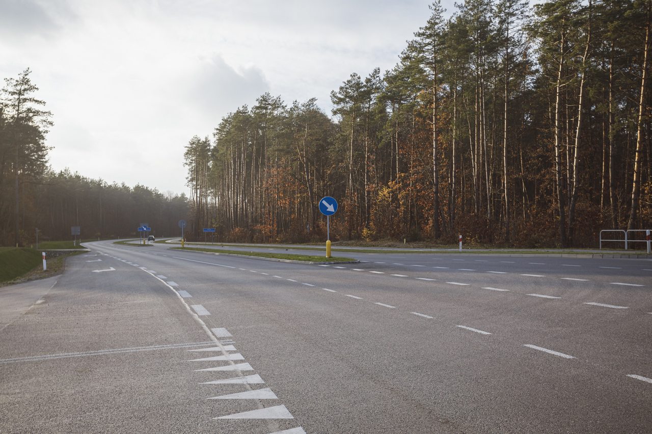 Widok na drogę i lasy
